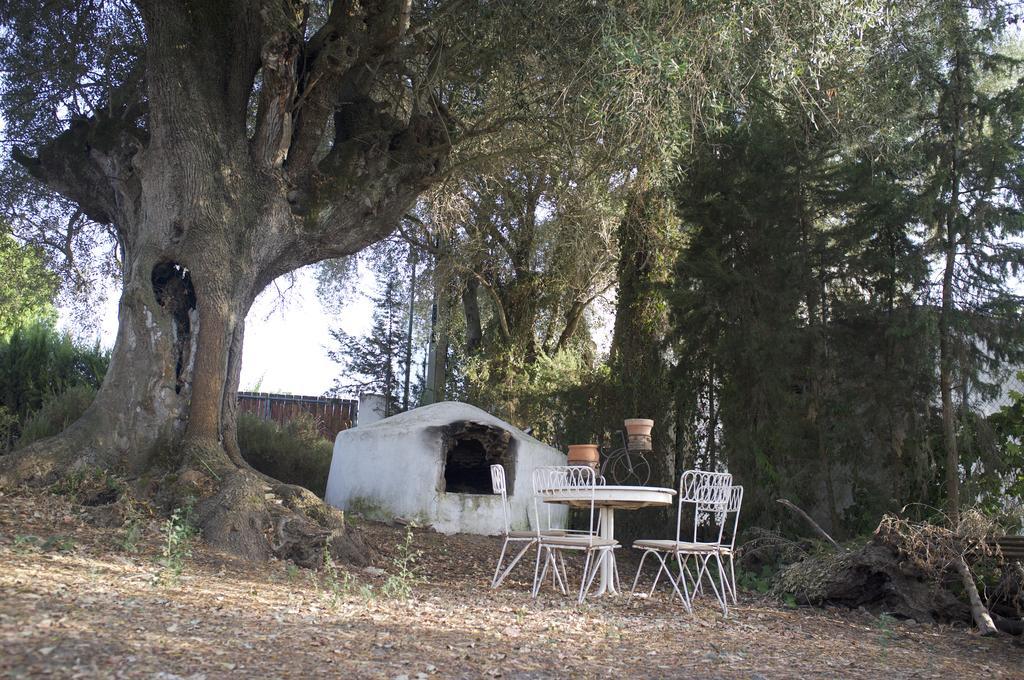 וחר דה לה פרונטרה Villas De La Ermita מראה חיצוני תמונה